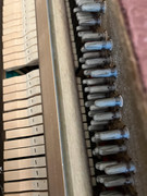 49b99243-5677-11ef-abc9-573de3042ee3