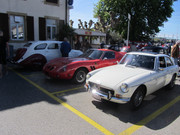 IMG-2524-1.jpg