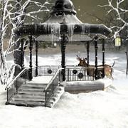 Christmas-Dreams-Papers-7
