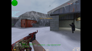 de-nuke-iarna320004