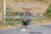 IMG-2537