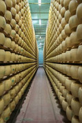 IMG-4415