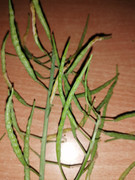 IMG-ebde9d00d8478d6fe1c3542ad9745d3d-V