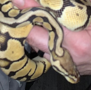 8784CE57-1077-4A45-BE98-AD6257FE9603