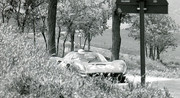 Targa Florio (Part 4) 1960 - 1969  - Page 13 1968-TF-206-15