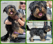 Be-Funky-collage-22.jpg&key=885f6564a33f