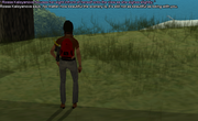 7.png