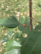 E4E4F2E1-AE44-4F80-A4D0-83E5B38A15E9