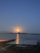 [Image: IMG-2325.jpg]