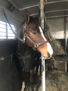 77AFDFA6-3B8B-4BAA-A05C-1B73D52A9533