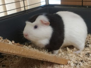 IMG_20191211_090620_228