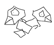 pory2