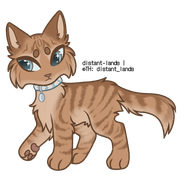 orange mackerel tabby