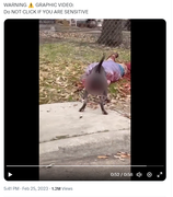 Screenshot Capture - 2023-09-16 - 02-48-25