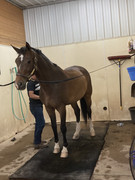 52E25DBC-956D-4A9C-B793-A43E924F7F93