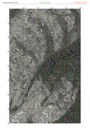 2882119-crosti-ru-color-18