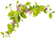 0-1c0e12-7a5de96b-orig