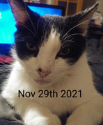 20211129_024803_HDR~3