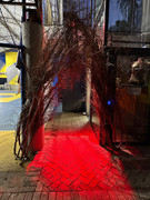 photo_5086824816182406002_y