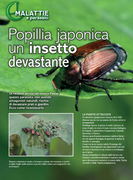 Movie cover image