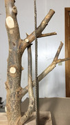 IMG-8464.jpg