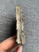 1291B320 E98B 4B0C 8CE8 94A8316515A1