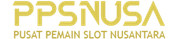 PPSNUSA