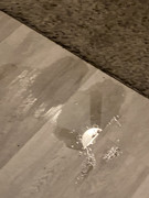 ED999B61-95E5-4BA8-9777-264F5D154713