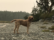 9CCD4F06-011D-4E56-AC3E-1984C32C379B