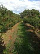 IMG_20210614_172902637