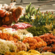 photo 23 2026 01 16 21 58 24