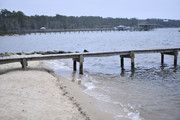 DSC0008