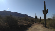 IMG-20210421-080717436
