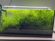 20220903_060753601_iOS