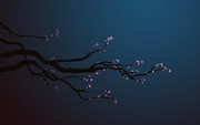 2560x1600 - Sakura branches-on-blue-background