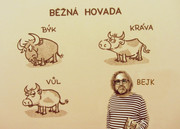 462299029_8908066342577095_3173984651404382312_n