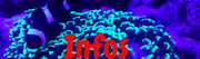 Ajouter-un-titre-1.png