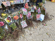 IMG20261017124150