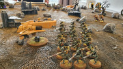20211101_Salamanders_Taus (8)