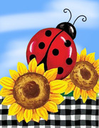 Ladybug