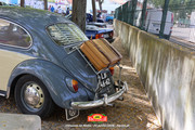 IMG-6760