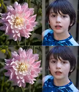 [Image: temp-Image4-R21-RE.avif]