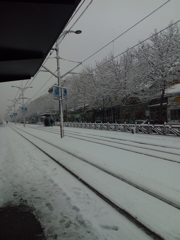 IMG-20190124-090645.jpg