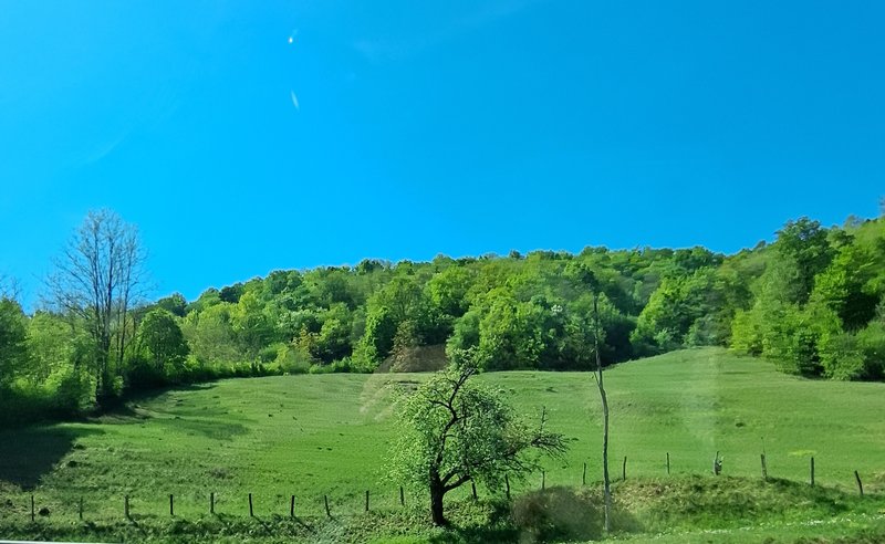 Slika