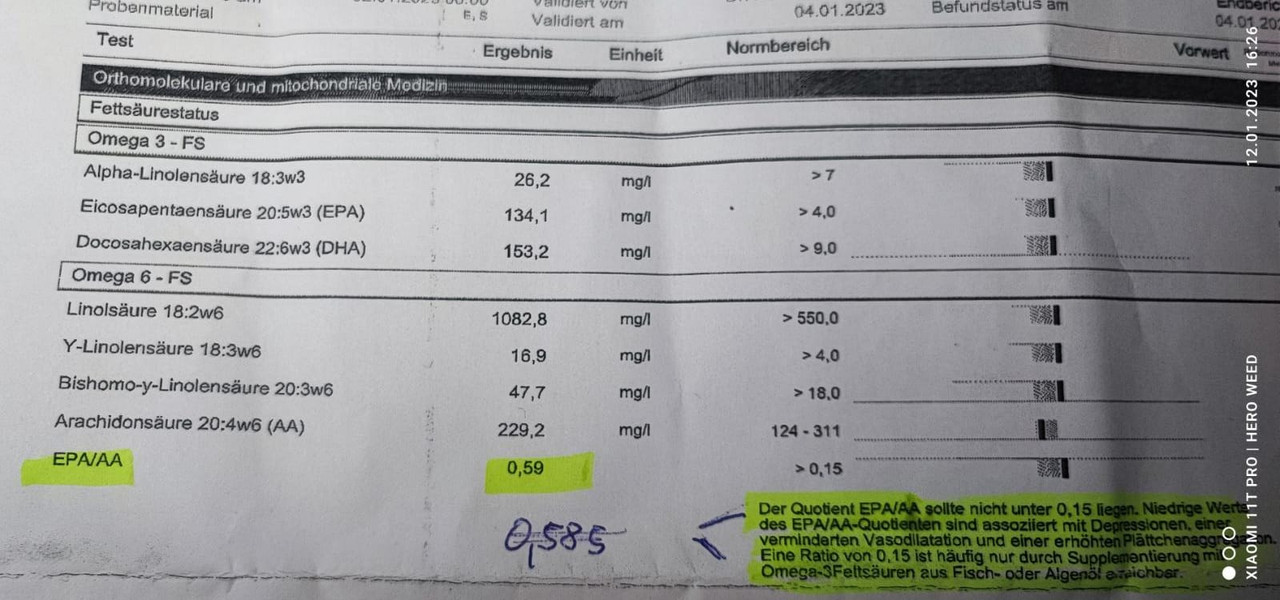 WhatsApp Image 2023-01-12 at 16.27.40