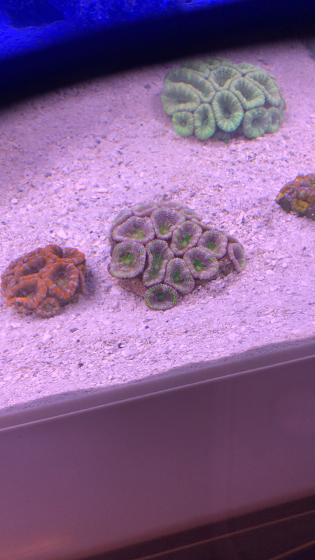 D443A79A-8784-4AFC-96F3-EC0578B67B79