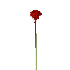 Alt Tag