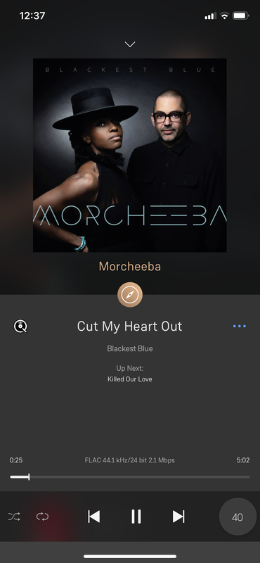 EBD24E45-74EB-4FEE-9EF6-F12D05272F84