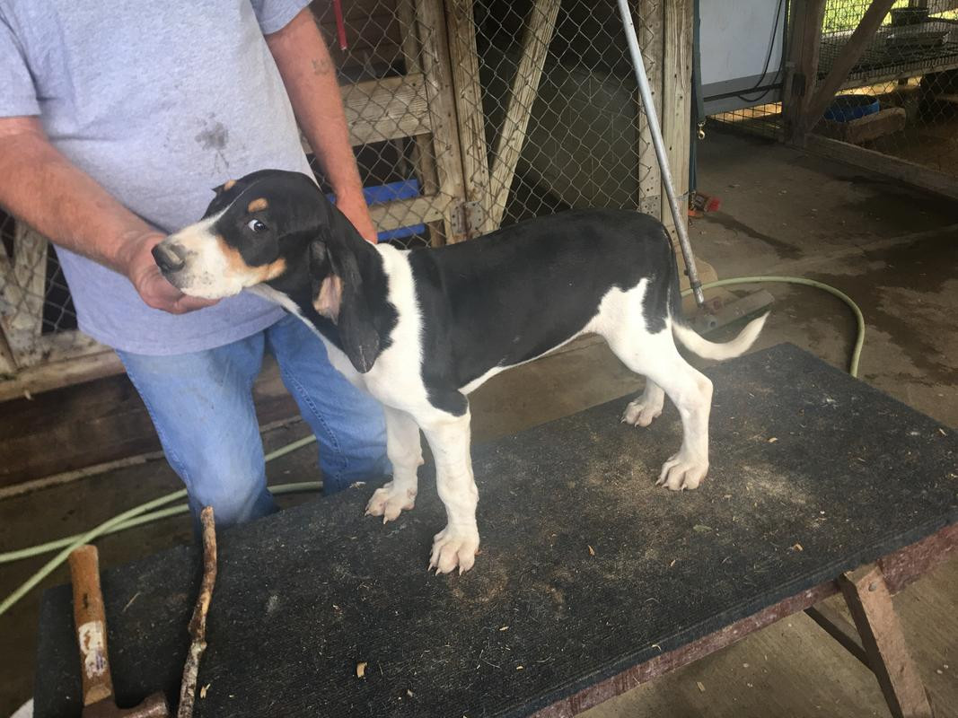 0A518EE8-A46A-407B-AB02-4F38D8F7090C