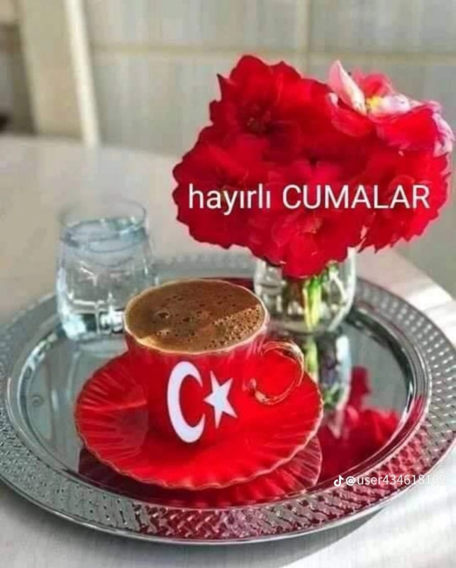 resim